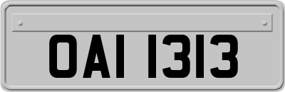 OAI1313