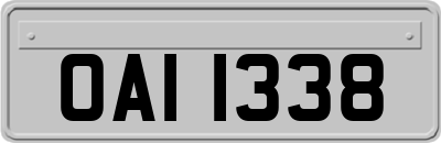 OAI1338