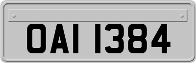 OAI1384