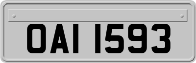OAI1593