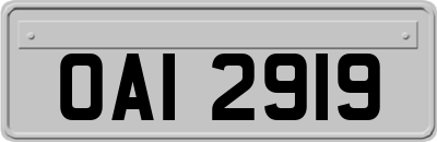 OAI2919