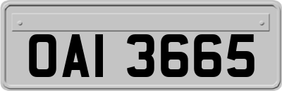 OAI3665