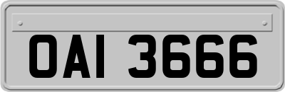 OAI3666