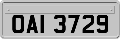 OAI3729