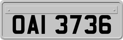 OAI3736