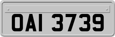 OAI3739