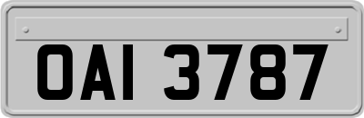 OAI3787