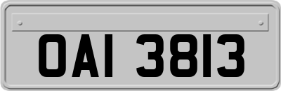 OAI3813