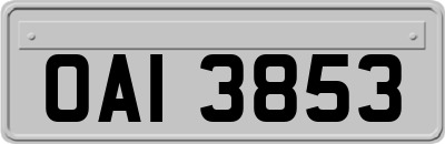 OAI3853
