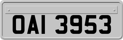 OAI3953