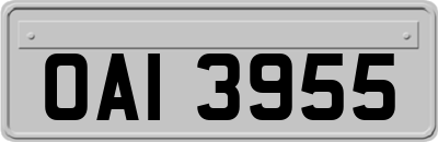 OAI3955