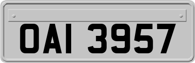 OAI3957