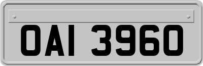 OAI3960