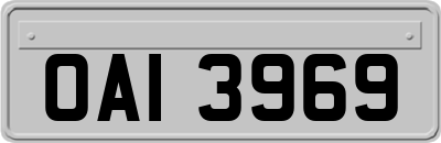 OAI3969
