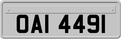 OAI4491