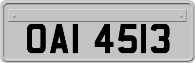 OAI4513