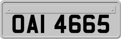 OAI4665