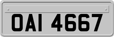 OAI4667