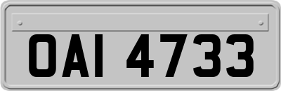 OAI4733