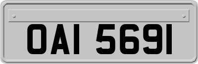 OAI5691
