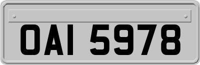 OAI5978