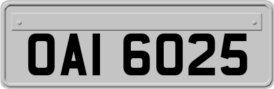 OAI6025
