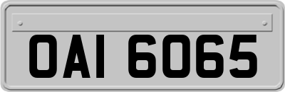 OAI6065