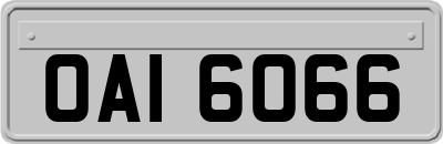 OAI6066