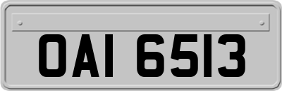 OAI6513