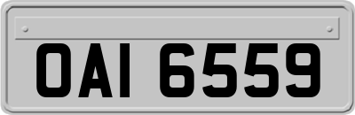 OAI6559