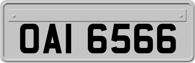 OAI6566