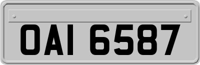 OAI6587