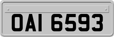 OAI6593