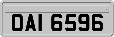 OAI6596