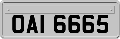 OAI6665