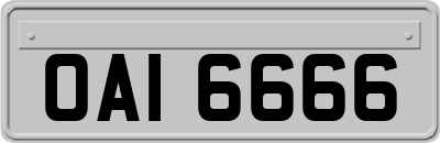 OAI6666