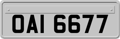 OAI6677