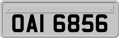 OAI6856