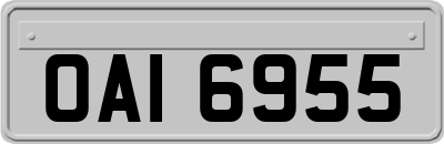 OAI6955