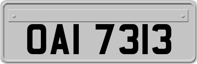 OAI7313