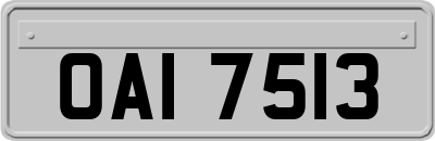 OAI7513