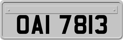 OAI7813
