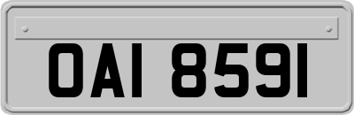 OAI8591