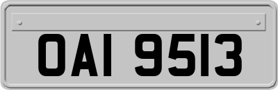 OAI9513