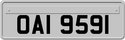 OAI9591