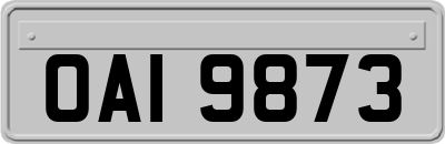 OAI9873