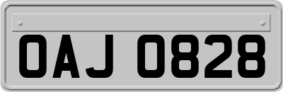 OAJ0828