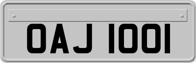 OAJ1001