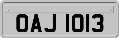 OAJ1013