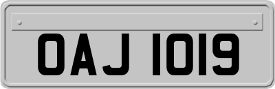 OAJ1019